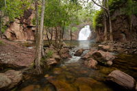 Florence Falls - Accommodation Yamba