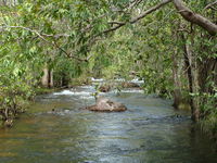 Florence Creek walk - Accommodation Port Hedland