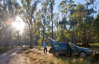 Forest Drive Murrumbidgee Valley National Park - ACT Tourism