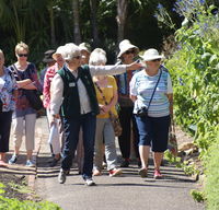 Friends of Geelong Botanic Gardens - Attractions