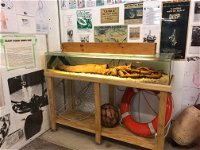 George The Giant Squid Display Wallaroo - Accommodation in Bendigo