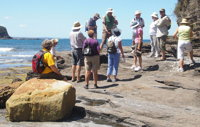 Gondwana Coast Fossil Walk - ACT Tourism
