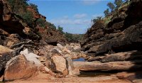 Homestead Gorge trail - Accommodation Cooktown
