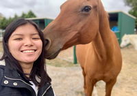 Horses Teaching Humans - Lightning Ridge Tourism