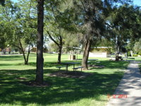 Inglewood Apex-Lions Park - Attractions Brisbane