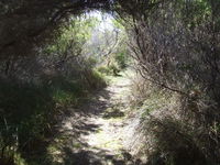 Jack And Hilda McArthur Walk - Whitsundays Tourism