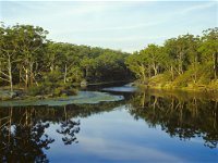Lake Parramatta Reserve and recreation area - Sydney Tourism