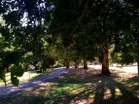 Mirimbah Park - Attractions Perth