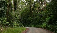 Moonpar Forest drive - Cascade National Park - Broome Tourism