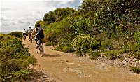 Mountain Biking Trails - Tourism Cairns