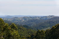 Mount Crawford Forest Reserve - Accommodation Tasmania