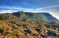 New England National Park - Accommodation Australia