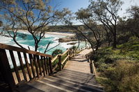 North Gorge Walk Point Lookout - QLD Tourism