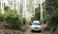 Orara Escarpment 4WD Touring Route - Gold Coast 4U