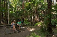 Palms picnic area - Gold Coast Attractions