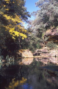 Pheasants Nest - QLD Tourism