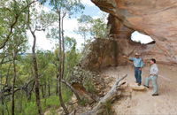 Pilliga National Park - Lennox Head Accommodation