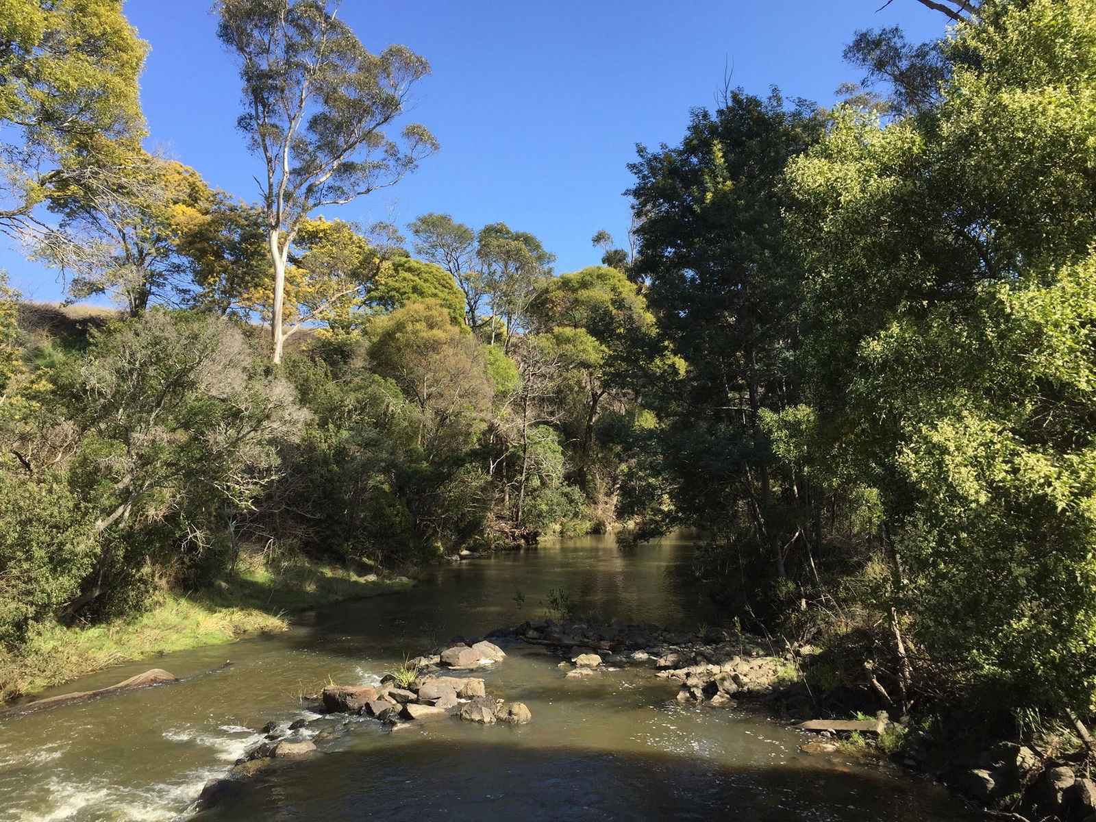 Pipers River TAS St Kilda Accommodation