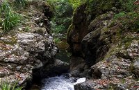 Potoroo Falls walk - Lennox Head Accommodation