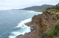 Pretty Beach to Snapper Point Walking Track - Accommodation NSW