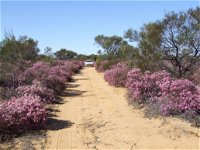 Reynoldson's Flora Reserve - QLD Tourism