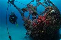Severance Shipwreck Dive Site - Tourism Caloundra