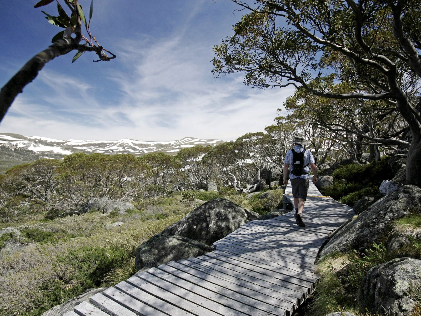 Pilot Wilderness NSW Accommodation Rockhampton