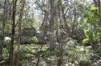 Tallaganda National Park - Accommodation Perth