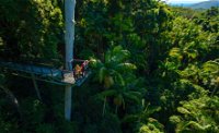 Tamborine Rainforest Skywalk - Australia Accommodation