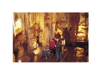 Tantanoola Caves - Whitsundays Tourism