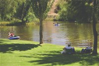 The Lions Junction Park - Tumut - Accommodation Redcliffe