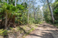 Tip to Tail Trail - Accommodation Noosa