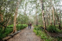 Venman Bushland National Park - QLD Tourism