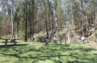 Wallaby Walking Track - Melbourne Tourism
