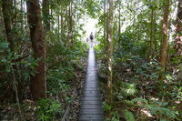 Walker Creek - Yarra Valley Accommodation