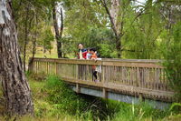 Westerfolds Park - Attractions Sydney