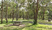Wollomombi Gorge and Falls Picnic Area - ACT Tourism