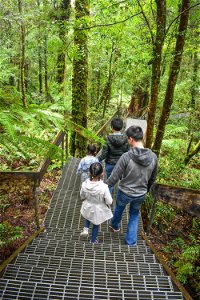 Yarra Ranges National Park - Gold Coast Attractions