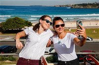 Hop-On Hop-Off Bus and Cruise PLUS Attractions - Accommodation Perth