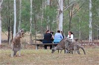 Blue Mountains number 1 Day Tour includes popular breakfast in the Aussie bush - Accommodation Perth