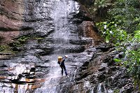 Full-Day Canyoning Experience at Stunning Empress Canyon - Sunshine Coast Tourism