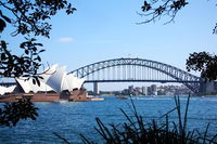 Private Sydney Half Day Tour including Sydney Opera House and Bondi Beach - Accommodation Tasmania