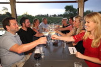 Hunter Valley Wine Beer  Fork Twilight Tour - QLD Tourism