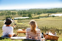 Audrey Wilkinson Vineyard Picnic with Wine Masterclass Tasting - Accommodation BNB