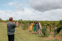 Sample the Hunter Half Day Tour with Lunch - Accommodation BNB