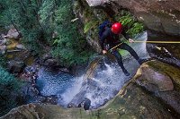 Small-Group Full-Day Canyoning and Abseiling Adventure from Katoomba - SA Accommodation