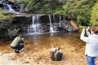 Ultimate Blue Mountains Waterfalls Walks  Sunset PRIVATE Tour - Accommodation NT
