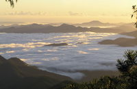 Banksia Point Picnic Area - Accommodation Sunshine Coast