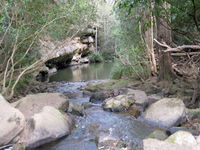 Bomaderry Creek Regional Park - Accommodation Gold Coast