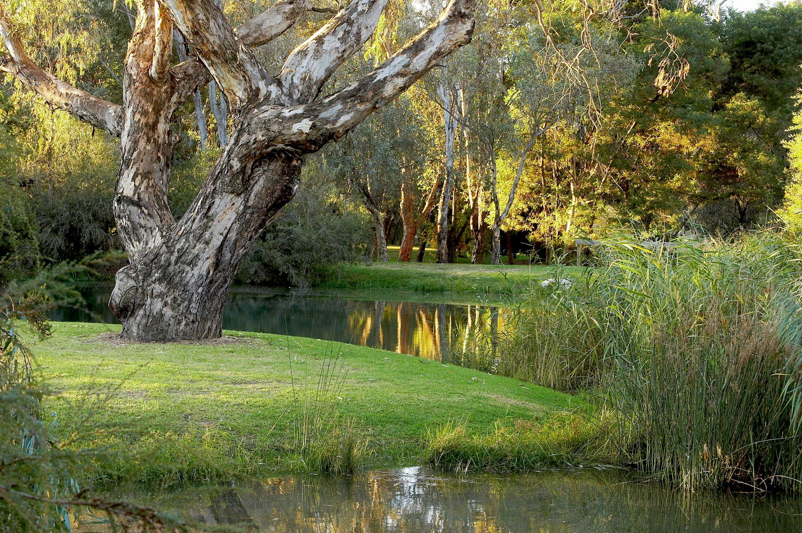 Gateway Island VIC Accommodation Ballina